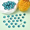 Preciosa® MAXIMA Crystal No Hotfix Flatback Stones Y-PRC-NSS16-60230-2