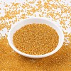 MIYUKI Round Rocailles Beads SEED-G007-RR0007-3