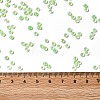8/0 Transparent Glass Seed Beads SEED-F003-03B-13-4
