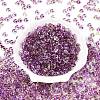 Spray Painted Transparent Glass Seed Beads SEED-T007-05G-1