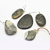 Natural Polychrome Jasper/Picasso Stone/Picasso Jasper Pendants G-G694-B-14-1