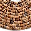 Natural Picture Jasper Beads Strands G-P608-A12-01-4