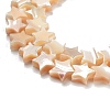 Star Natural White Shell Beads Strands BSHE-Q025-14B-3