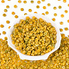 Picasso Glass Seed Beads SEED-N010-01B-2