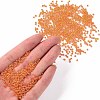 12/0 FGB Grade A Round Glass Seed Beads SEED-Q010-F536-4