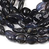 Natural Iolite Beads Strands G-C271-01-4