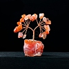 Natural Carnelian Chips Tree Decorations PW-WG50377-04-1