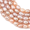 Natural Cultured Freshwater Pearl Beads Strands PEAR-F020-11-4
