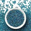 MIYUKI 3.4mm Drop Beads Y-SEED-MY04-DP2405FR-4