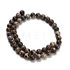 Natural Astroite Jasper Beads Strands G-H329-C02-8mm-3