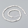 Natural Howlite Beads Strands G-I270-09-2