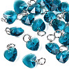 Faceted Transparent Glass Charms GLAA-T024-04D-1