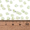 FGB Baking Paint Glass Seed Beads SEED-Q040-09A-10-4