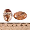 Dyed Natural Fire Agate Cabochons G-Q957-02B-20x30-3