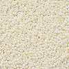 11/0 Grade A Ceylon Glass Seed Beads X-SEED-N001-B-0482-2