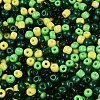 Opaque & Transparent Glass Seed Beads SEED-Q041-06D-3
