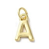 Rack Plating Brass Charms KK-P245-06G-A-1