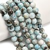 Natural Larimar Beads Strands G-L642-B19-8mm-1