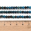 Natural Chrysocolla Beads Strands G-C289-B02-4mm-5