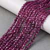 Natural Ruby Beads Strands X-G-F785-A02-02-1