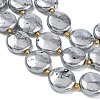 Electroplated Natural Druzy Geode Crystal Beads Strands G-G459-04K-3