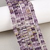 Natural Amethyst Beads Strands G-Z152-F05-02B-1