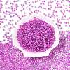 6/0 Inside Colours Transparent Glass Seed Beads X1-SEED-T007-07J-1