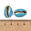 Electroplated Cowrie Shell Beads SSHEL-M023-04B-3