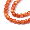 Natural Freshwater Shell Beads Strands X-SHEL-N003-24-B06-3