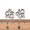 Tibetan Style Alloy Pendants FIND-C094-31B-AS-3