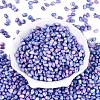 Picasso Glass Seed Beads SEED-N012-10F-2
