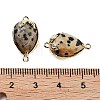 Natural Dalmatian Jasper Faceted Teardrop Connector Charms G-B081-03G-10-3