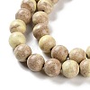 Natural Rainbow Alashan Agate Beads Strands G-NH0022-A-02-5
