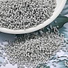 MIYUKI Delica Beads X-SEED-J020-DB2366-1