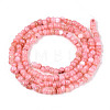 Natural Freshwater Shell Dyed Beads Strands SHEL-T020-29B-06-2