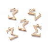 304 Stainless Steel Charms STAS-L263-17G-1