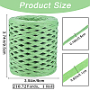 200M Raffia Paper Ribbon OCOR-WH20003-02A-2