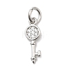 Brass Micro Pave Cubic Zirconia Charms KK-C139-06P-1