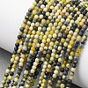 Natural Yellow Turquoise(Jasper) Beads Strands G-Z116-A19-2mm-1