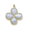 Natural Blue Lace Agate Faceted Pendants G-A308-01G-07-1