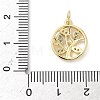 Brass Micro Pave Cubic Zirconia Pendants KK-S337-07G-B-3