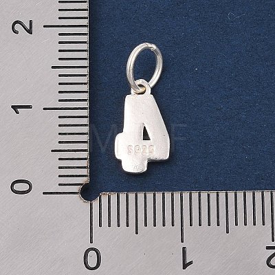 Number Series 925 Sterling Silver Charms STER-Q002-01E-1
