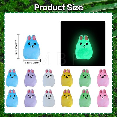 36Pcs 6 Colors Rabbit Luminous Resin Display Decorations DJEW-SZ0001-09-1