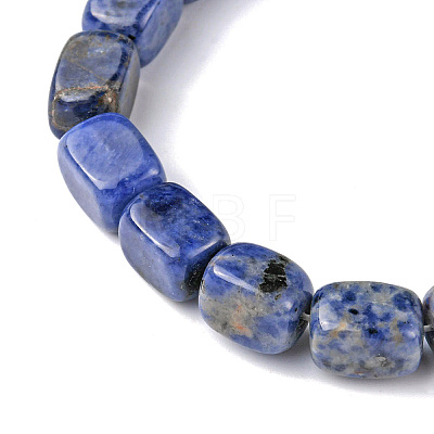 Natural Sodalite Beads Strands G-F743-02I-1