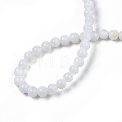 Natural Freshwater Shell Beads Strands SHEL-N003-24-A01-1