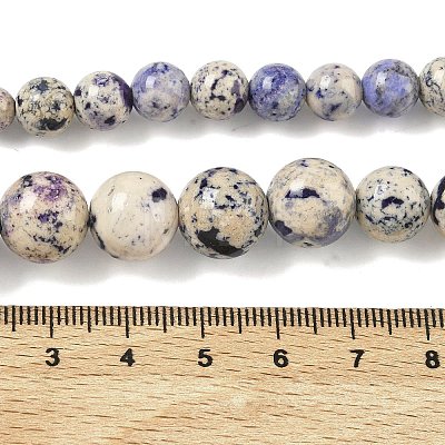 Natural Fossil Graduated Beads Strands G-F830-A03-01D-1