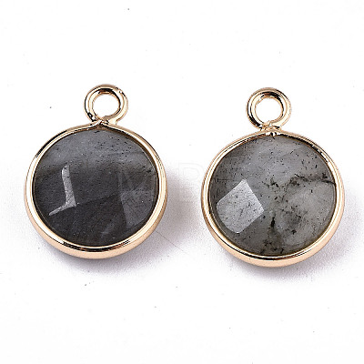 Natural Labradorite Pendants X-G-T131-101A-1