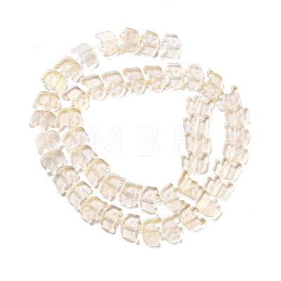 Transparent Glass Beads Strands GLAA-F114-03E-1