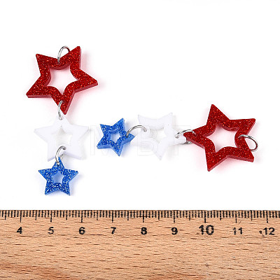 Acrylic Big Pendants OACR-N144-04-1
