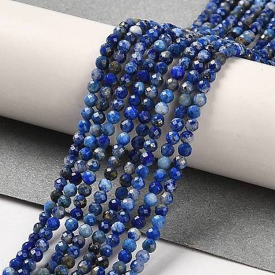 Natural Lapis Lazuli Beads Strands G-Z035-A01-01A-1